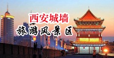 鸡鸡捅美女不良网站骚中国陕西-西安城墙旅游风景区