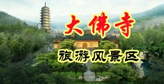 大吊操骚B骚妇性交中国浙江-新昌大佛寺旅游风景区